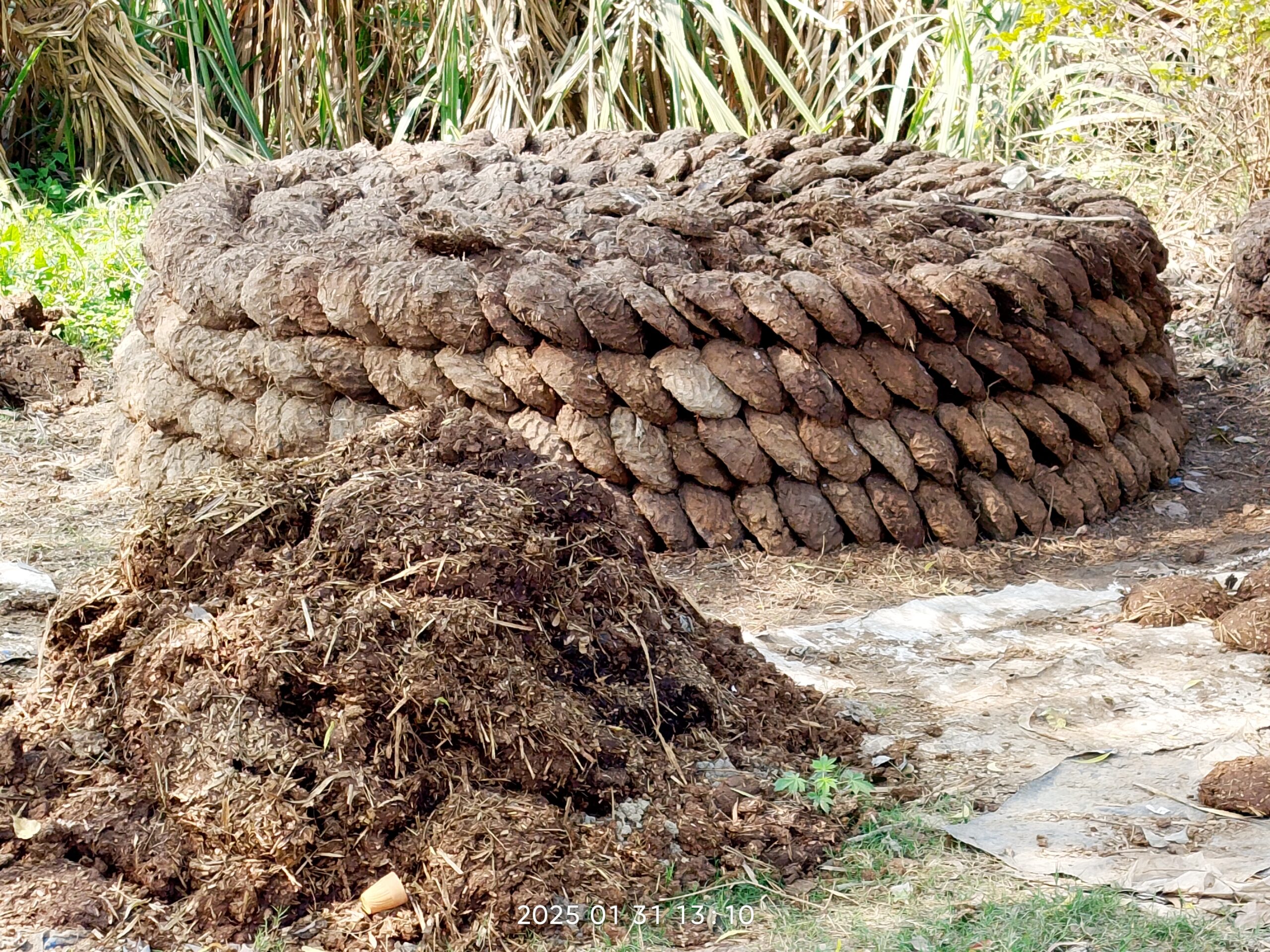 पश्चिम एशिया में अमेरिका, इज़राइल और ईरान से जुड़े चल रहे संघर्ष के वैश्विक प्रभाव हैं। भारत में इसका असर पहले से ही दिखाई देने लगा है